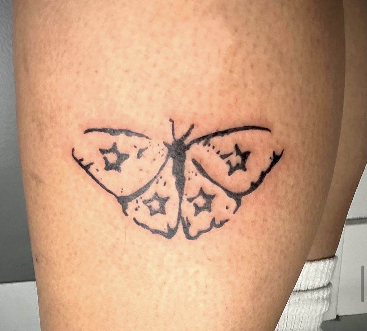Star-Speckled Moth Linework