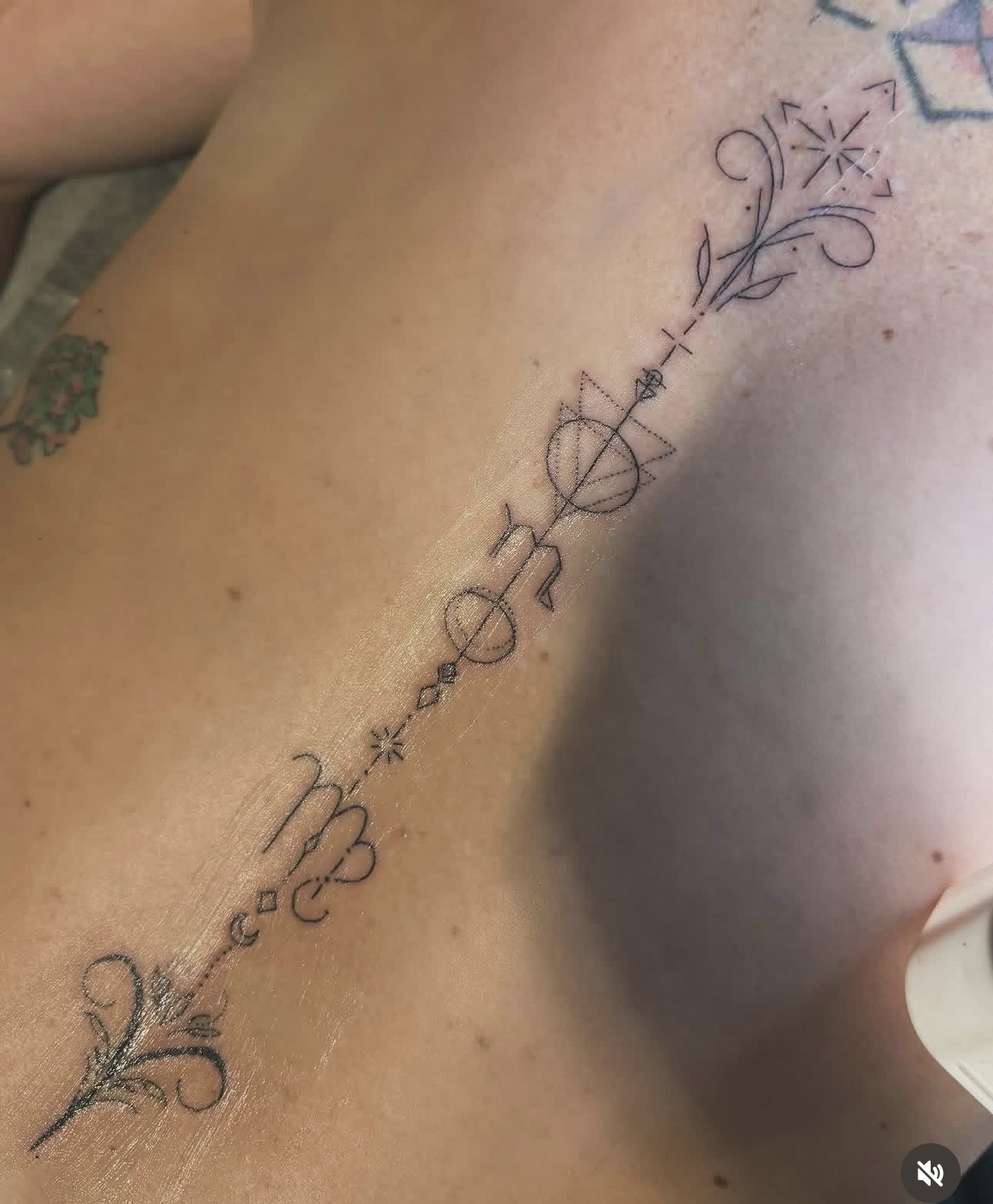 Astrology Sternum Ornamental