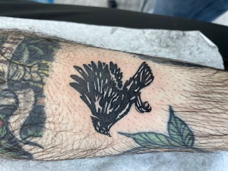Woodcut Style Illustrative Raven Flight