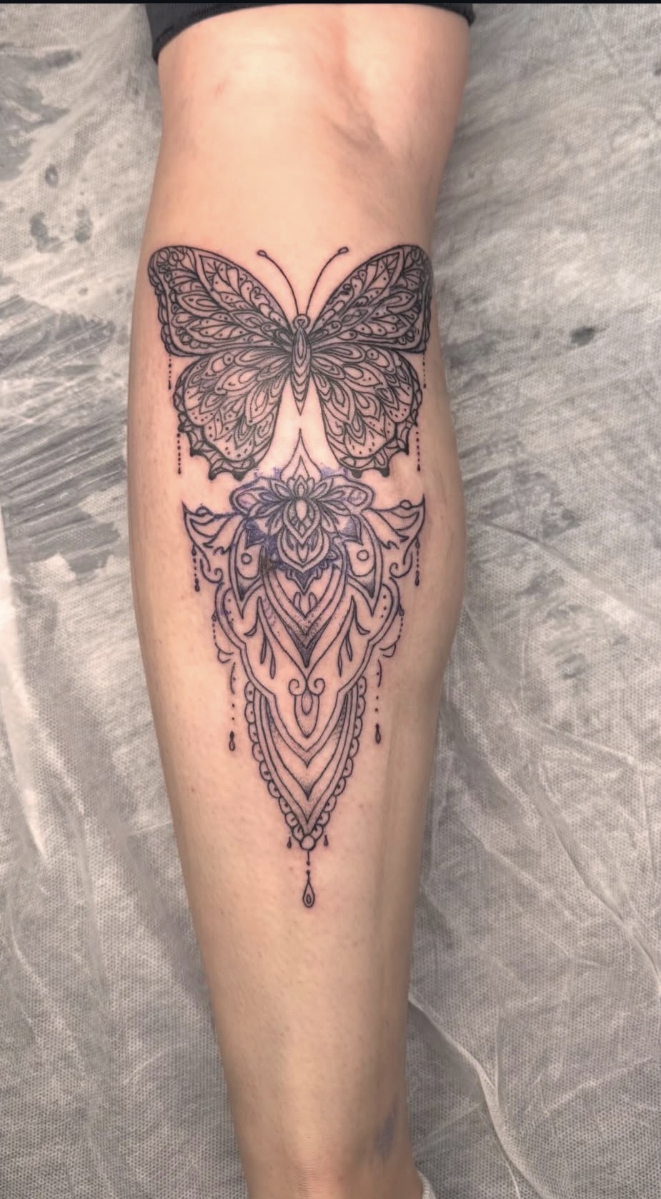 Ornamental Butterfly Mandala Calf