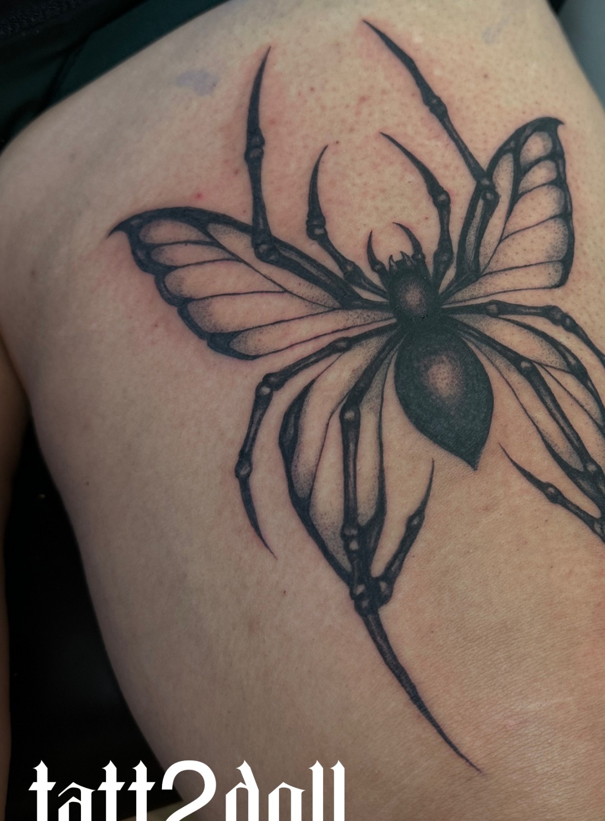 Shaquille D — Butterfly-Winged Spider Blackwork