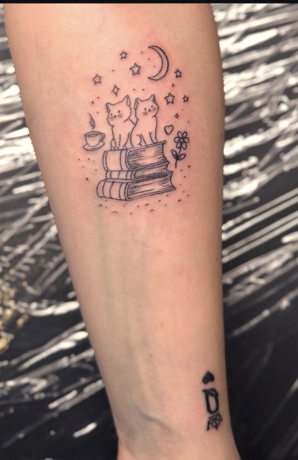 Whimsical Cats & Books Fine Line