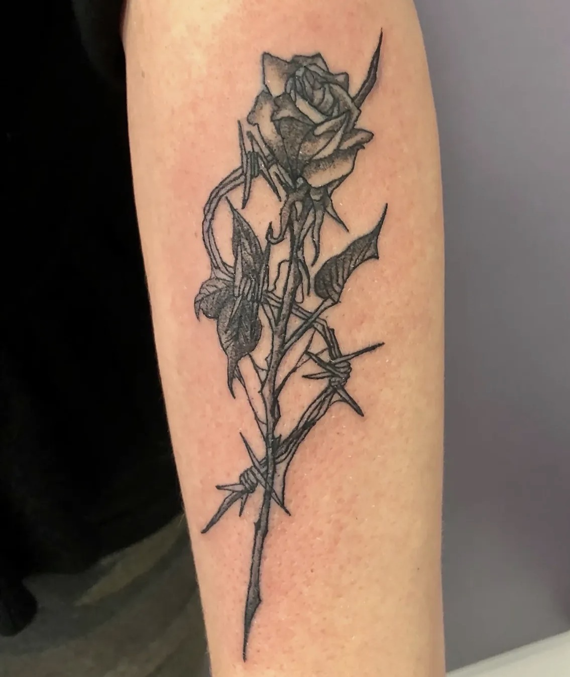 Fine Line Rose & Barbed Wire