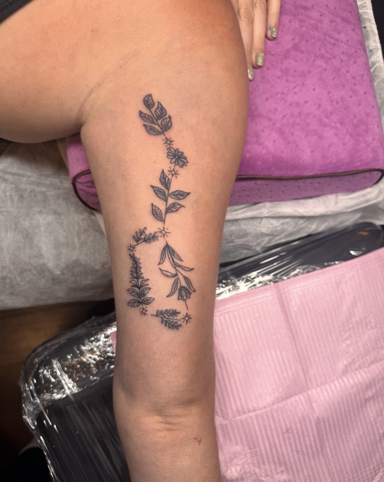 Trailing Botanical Leg Vine
