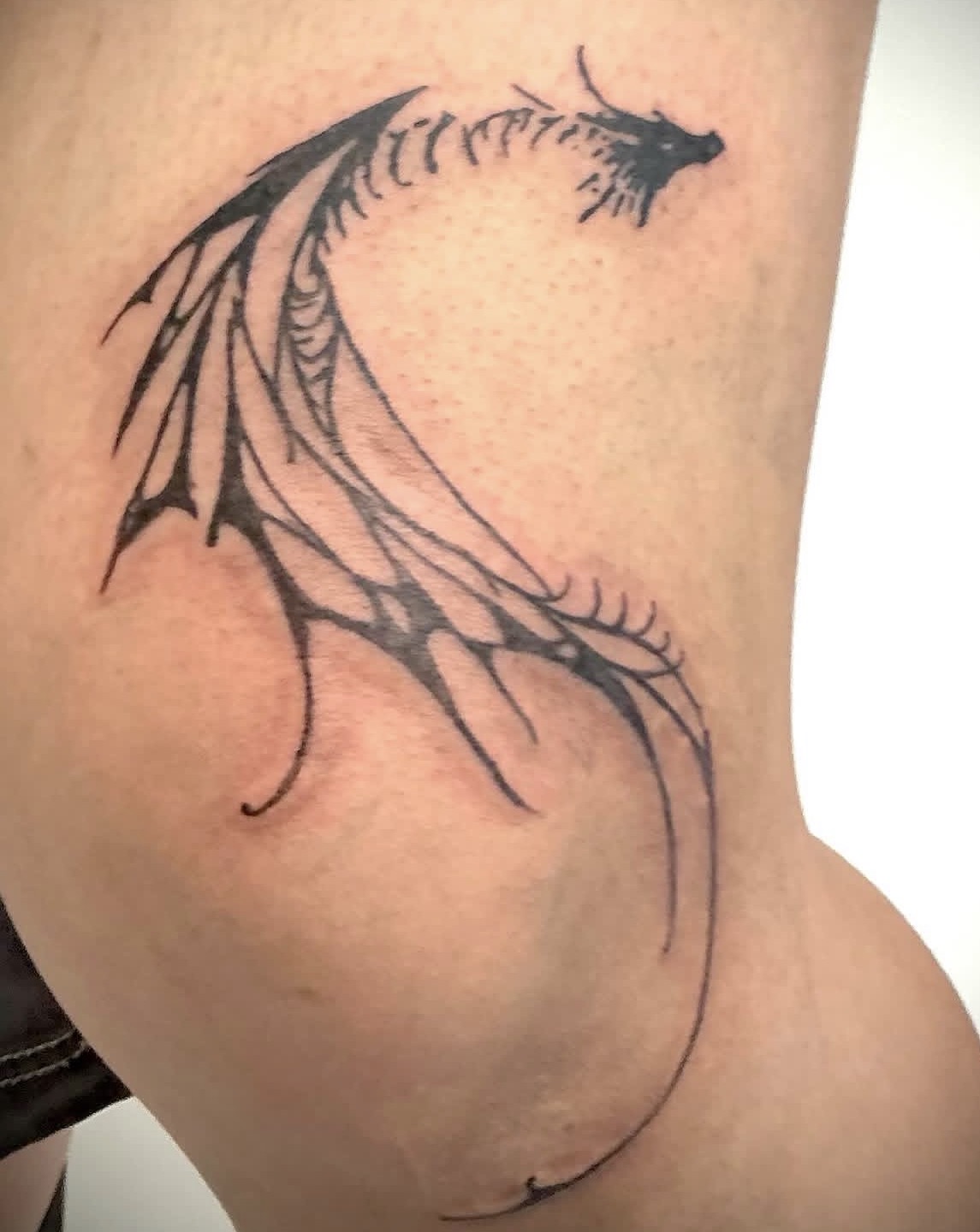 Tribal Dragon Silhouette