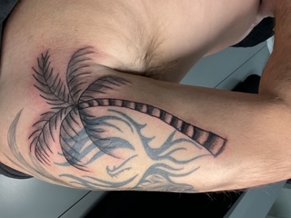 Bold Illustrative Palm Tree